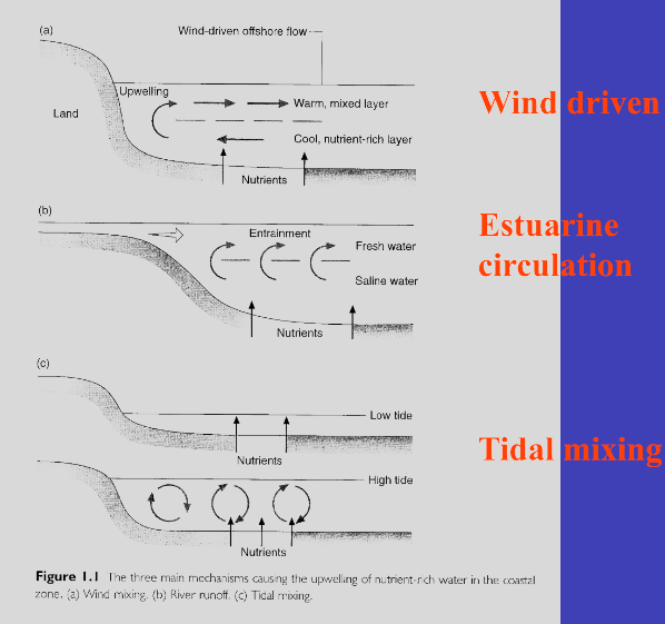 <p><span>Wind-driven, tidal mixing, estuarine circulation(salt water goes under freshwater and pushes it out away from land when salt water rises)</span></p>