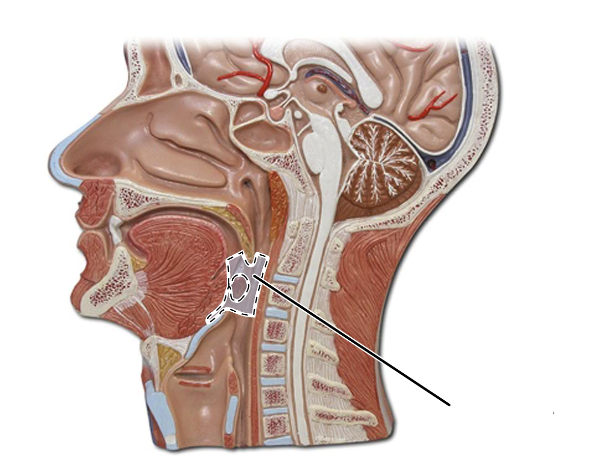 <p>What is this?</p>