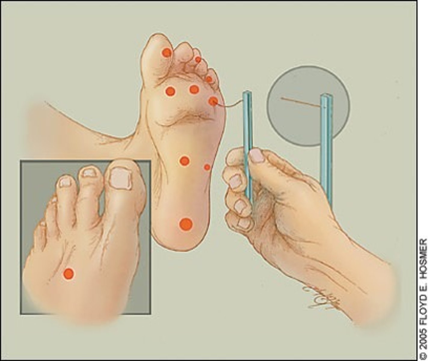 <p>Oral exam, neurosensory testing (NST), and a panoramic radiograph</p>