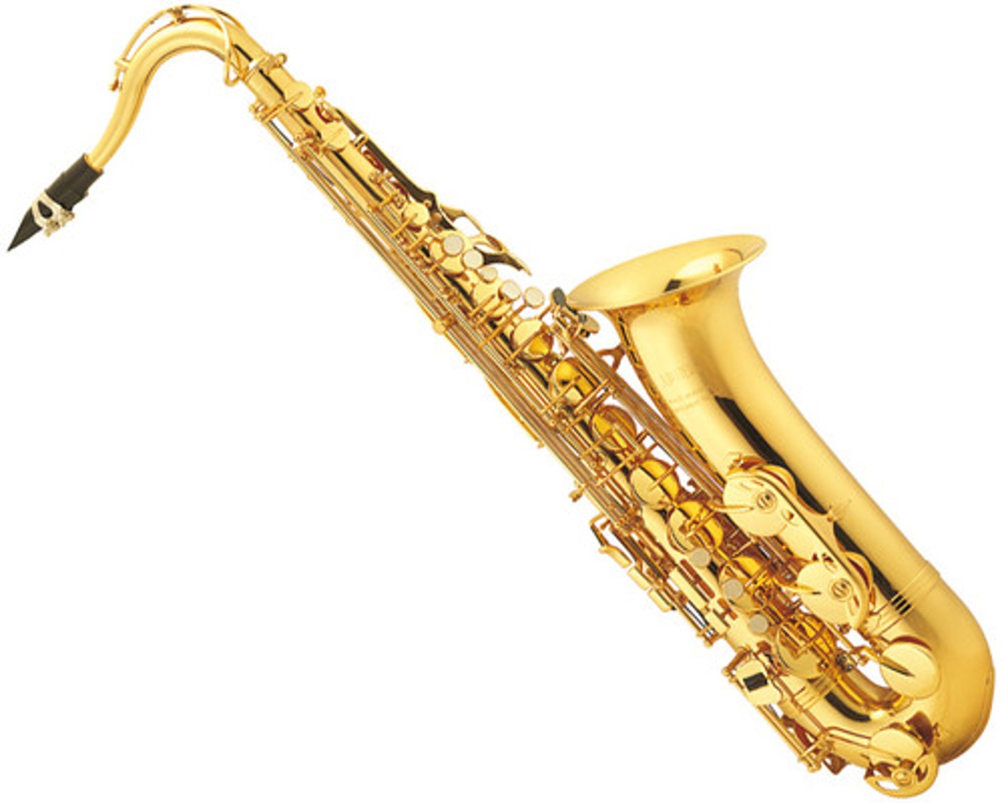 <p>saxophone</p>