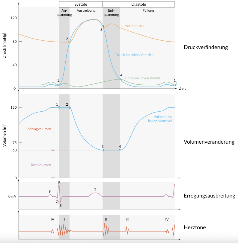 <p>B. There is suspicion of aortic valve insufficiency.</p>