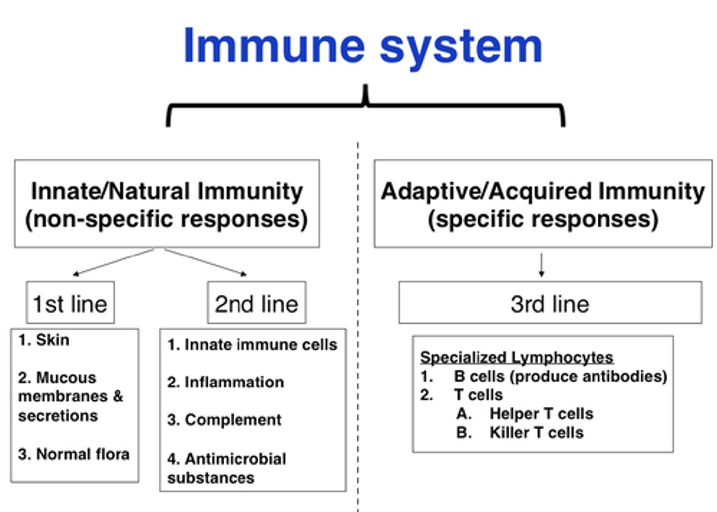 <p>innate is fast; adaptive is slow; innate includes 1st and second lines of defense; innate includes complement and inflammation</p>