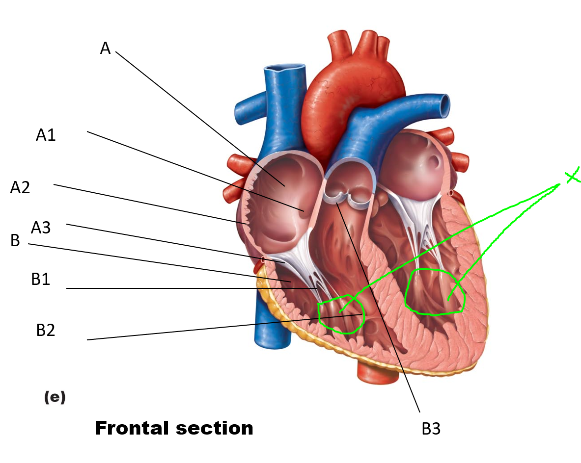 <p>Name / Function?</p>