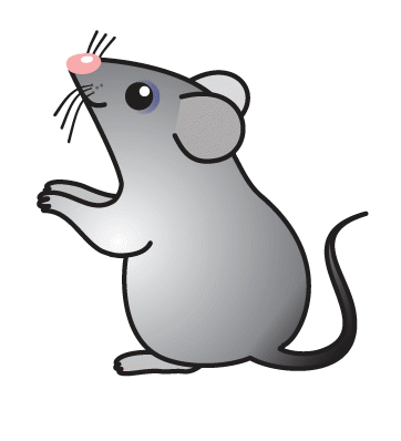 <p>маленькая </p>