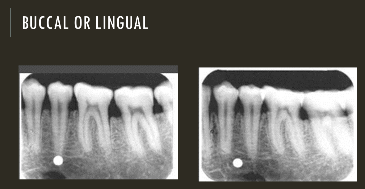 term image