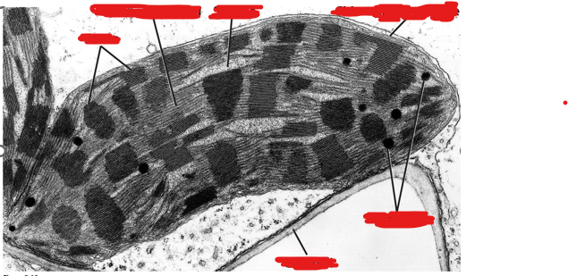 <p>Explain the context of this image.</p>