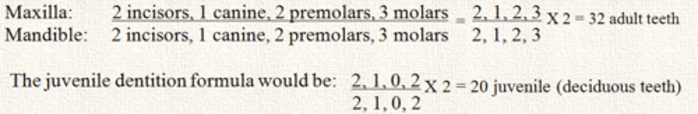 <p>The formula provided in the image is called?</p>