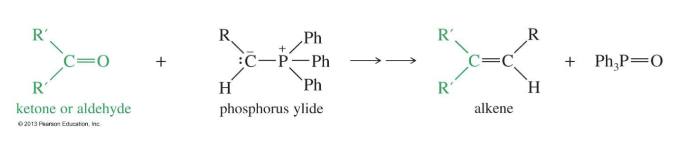 <p>Starting product: Keton or aldehyde</p><p>Reagent: Phosphorus ylide&nbsp;</p><ul><li><p>Converts a carbonyl group into a new C=C double bond&nbsp;</p></li><li><p>Phosphorus yield is used a the nucleophile in the reaction&nbsp;</p></li></ul><p>Mechanism:</p><ul><li><p>the Phosphorus ylide attacks the keton or aldehyde</p></li><li><p>the double bond of O breaks and it is left as negative O- (betaine)</p></li><li><p>The O forms a bond with the adjacent Ph<sub>3</sub>P (Oxaphosphetane formation)</p></li><li><p>but this will collapse and the Oxygen will break its bond with carbon and leave with Ph3P and the carbon will become a double bond and then form a carbonyl (ketone or aldehyde ) see down below.</p></li></ul><img src="https://knowt-user-attachments.s3.amazonaws.com/08269389-1f80-494a-bf96-91fc239a37a6.png" data-width="100%" data-align="center"><p>SN2 mechanism&nbsp;</p>