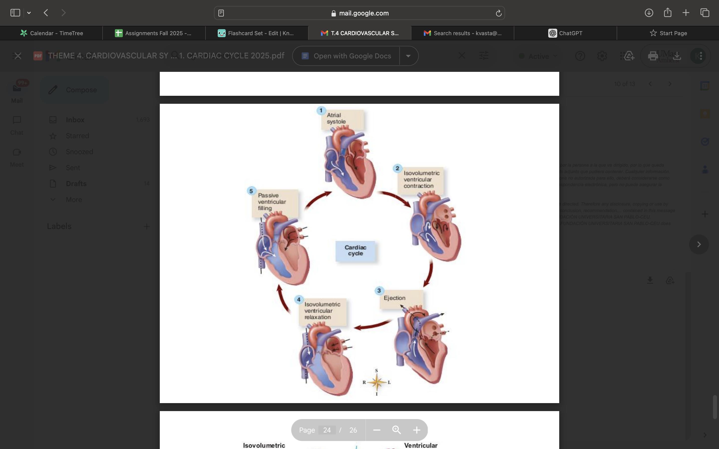 <p>in the cardiac cycle the step number 5 corresponds to</p><p>isovolumetric ventricular contraction</p><p>passive ventricular filling</p><p>isovolumetric ventricular relaxation</p><p>all are false</p>