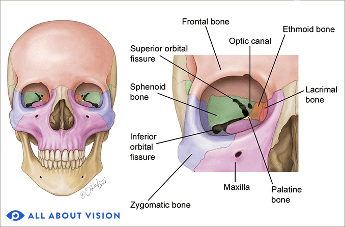 <p>Orbital</p>