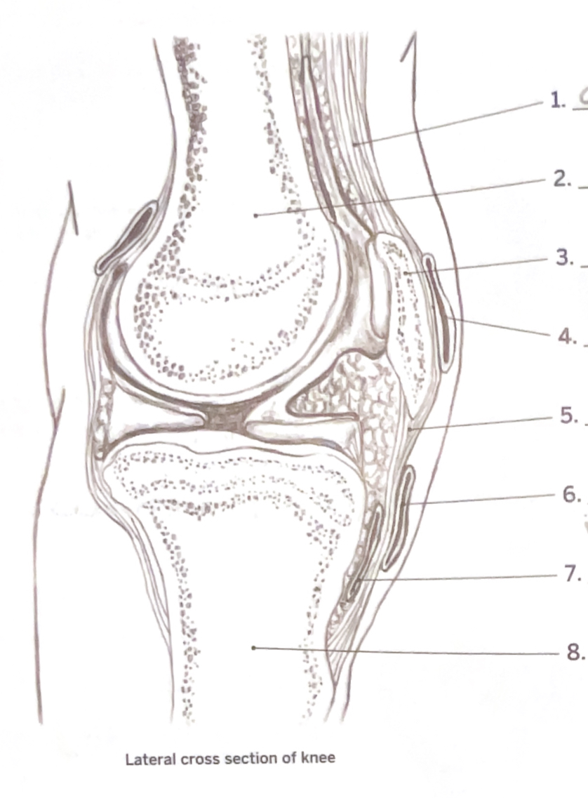 <p>6</p>