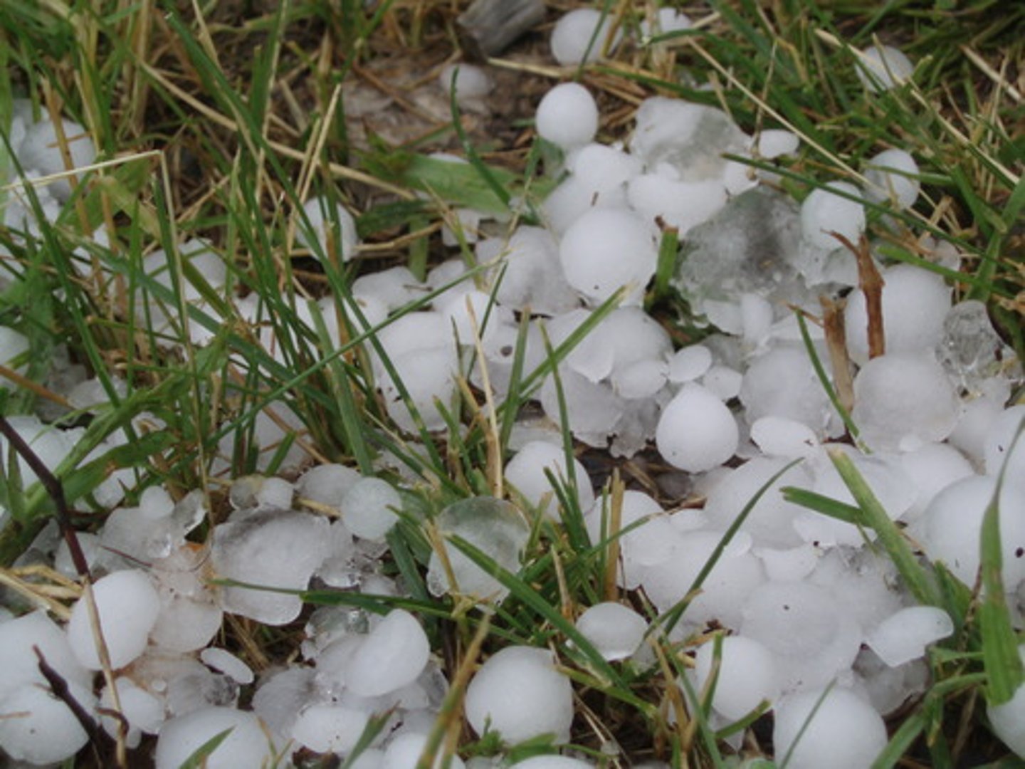 <p><strong>1) small, hard balls of ice that fall from the sky like rain</strong></p><p><strong>2) a ~ of sth:</strong></p><p><strong>a lot of similar things or remarks, thrown or shouted at someone at the same time:</strong></p><ul><li><p><em>a ... of bullets</em></p></li><li><p><em>The prime minister was greeted with a ...of insults as she arrived at the university.</em></p></li></ul><p></p>