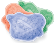 <p>Two or more polypeptide interacting</p>