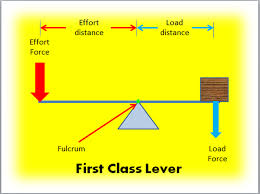 <p>effort, fulcrum, load</p>