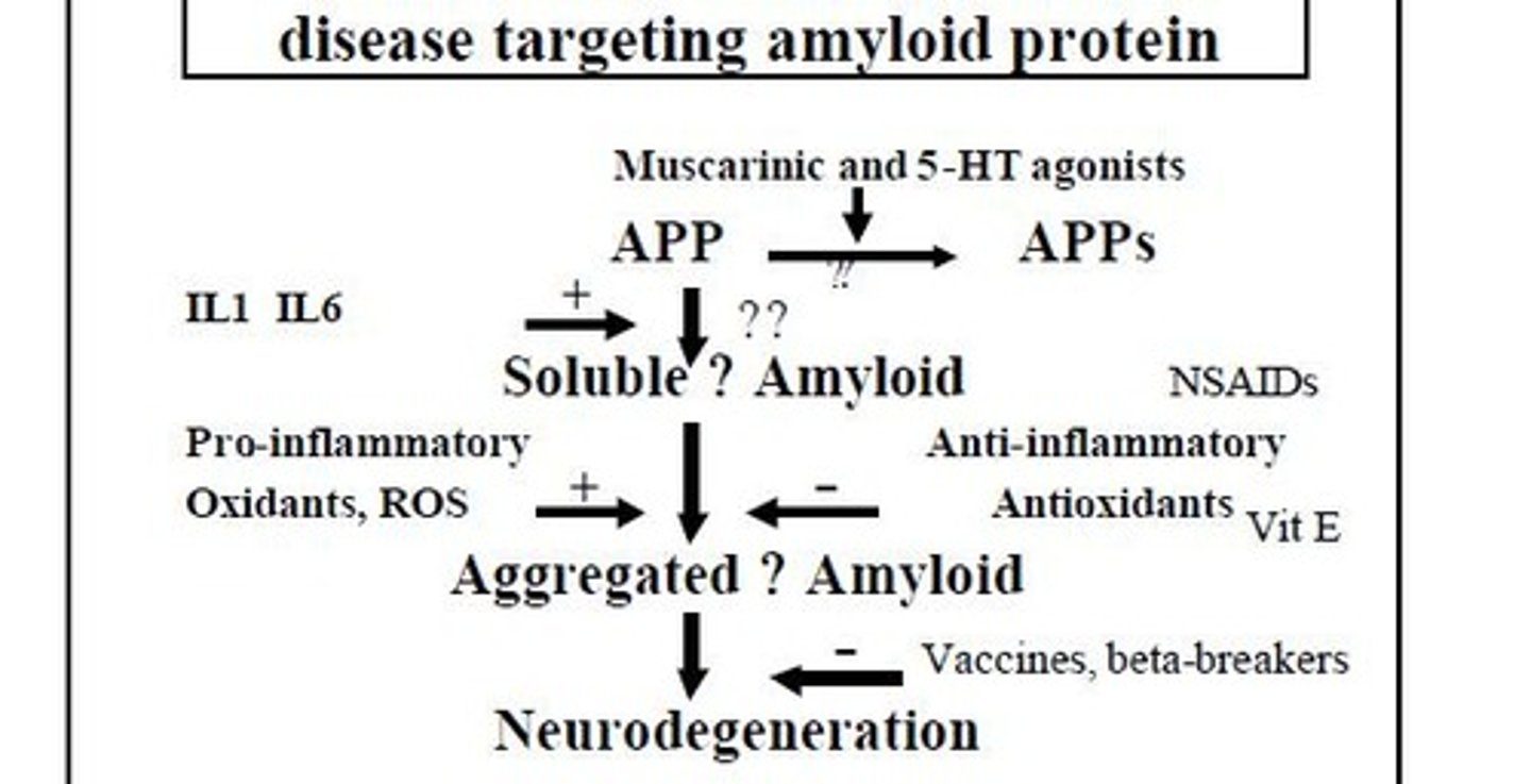 <p>Most genetic and environmental risk factors affect the metabolism of amyloid precursor protein, leading to deposition of beta-amyloid in plaques.</p>