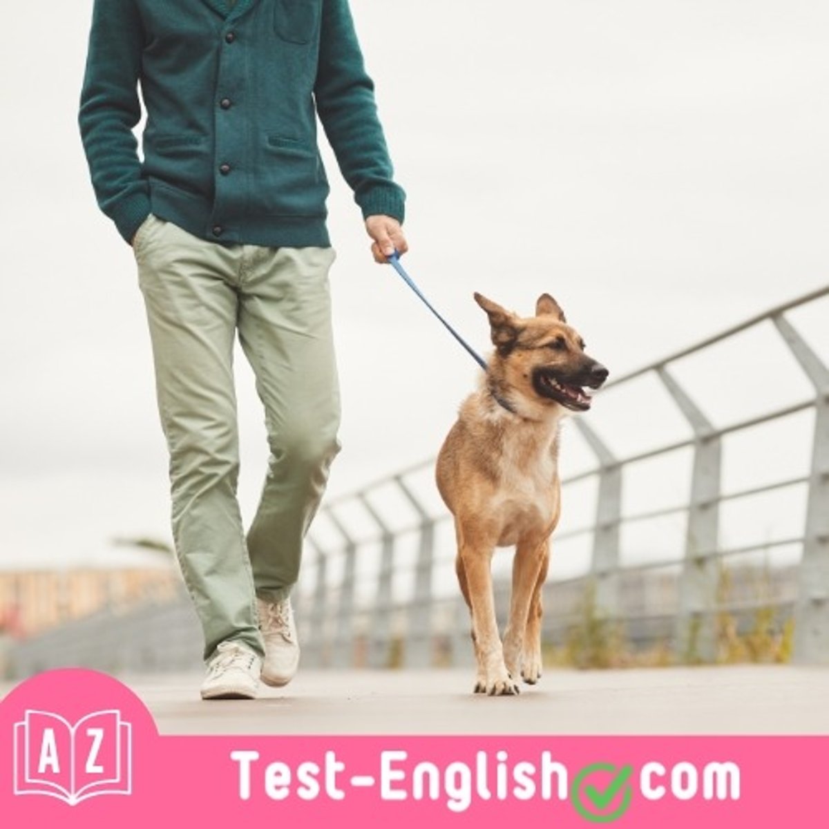 <p>They _____ the dog in the park every afternoon.</p>