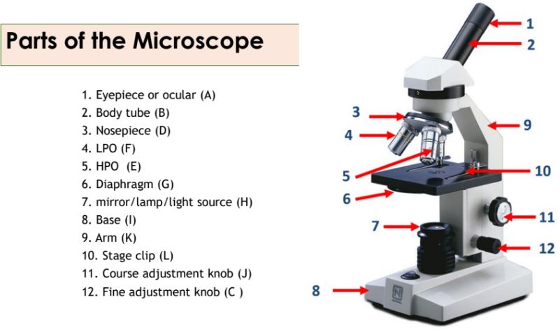 <p>Total Magnification</p>