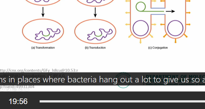 <p>Transduction : virus injecting the genes to the cell, cell hence picking up new traits from the virus</p><p>Transformation: bacteria just picking up plasmid which are the extra bits of material from the environment, for example, when a bacteria die, its genetic information is busted out to the environment so a cell can suck it of</p><p></p><p>Conjugation: two different species of bacteria comes together, form a bridge and transfer genetic material </p>