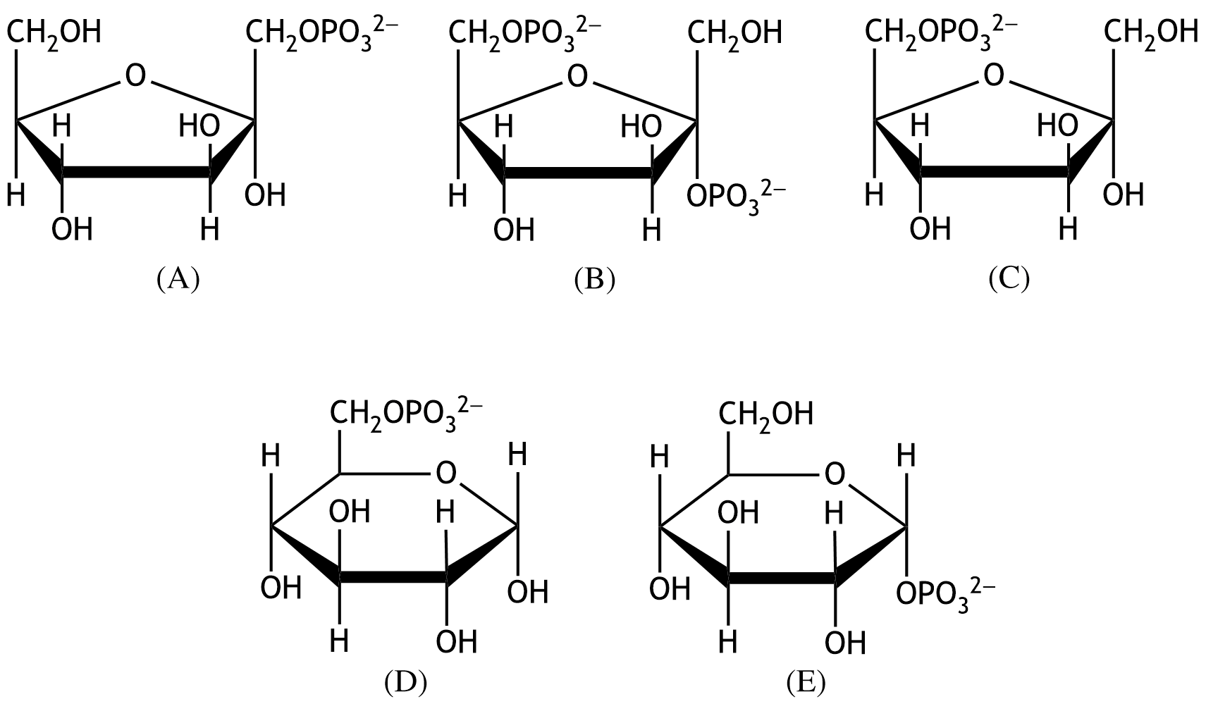 <p>19. A patient suffers from fructose intolerance. Genetic testing reveals a point mutation in the gene encoding aldolase B. This mutation causes partial inactivation of aldolase B and consequently leads to an accumulation of the substrate of aldolase B in fructose metabolism.</p><p>Which of the following molecules is most likely to accumulate in this patient’s metabolism?</p><p>A. (A)</p><p>B. (B)</p><p>C. (C)</p><p>D. (D)</p><p>E. (E)</p>
