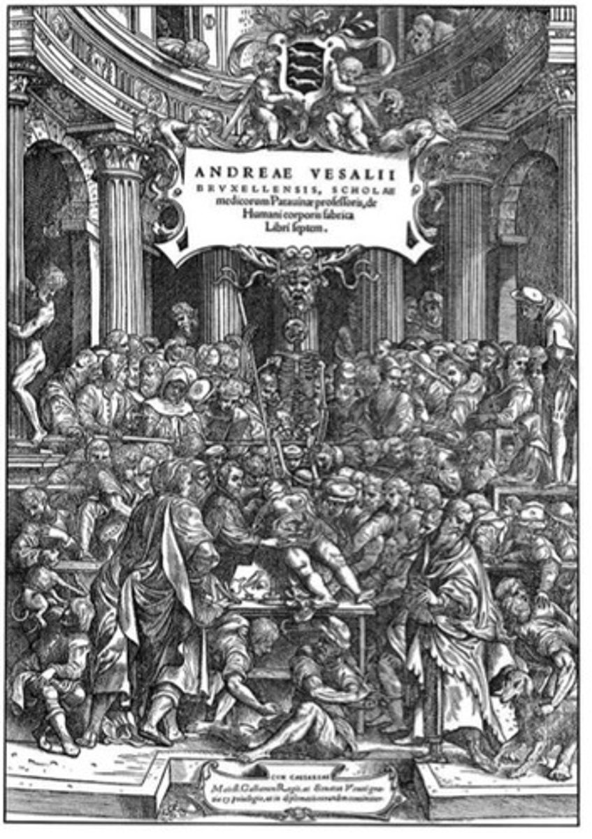 <p>Technological innocations have allowed us to "see" the inside of the human body. The piece "On the fabric of the human body" shows a packed crowd, an open body and fingers pointing in which instructions are given regarding the body. It represents the cartesian split between subject (seer) and object (what is seen).</p>