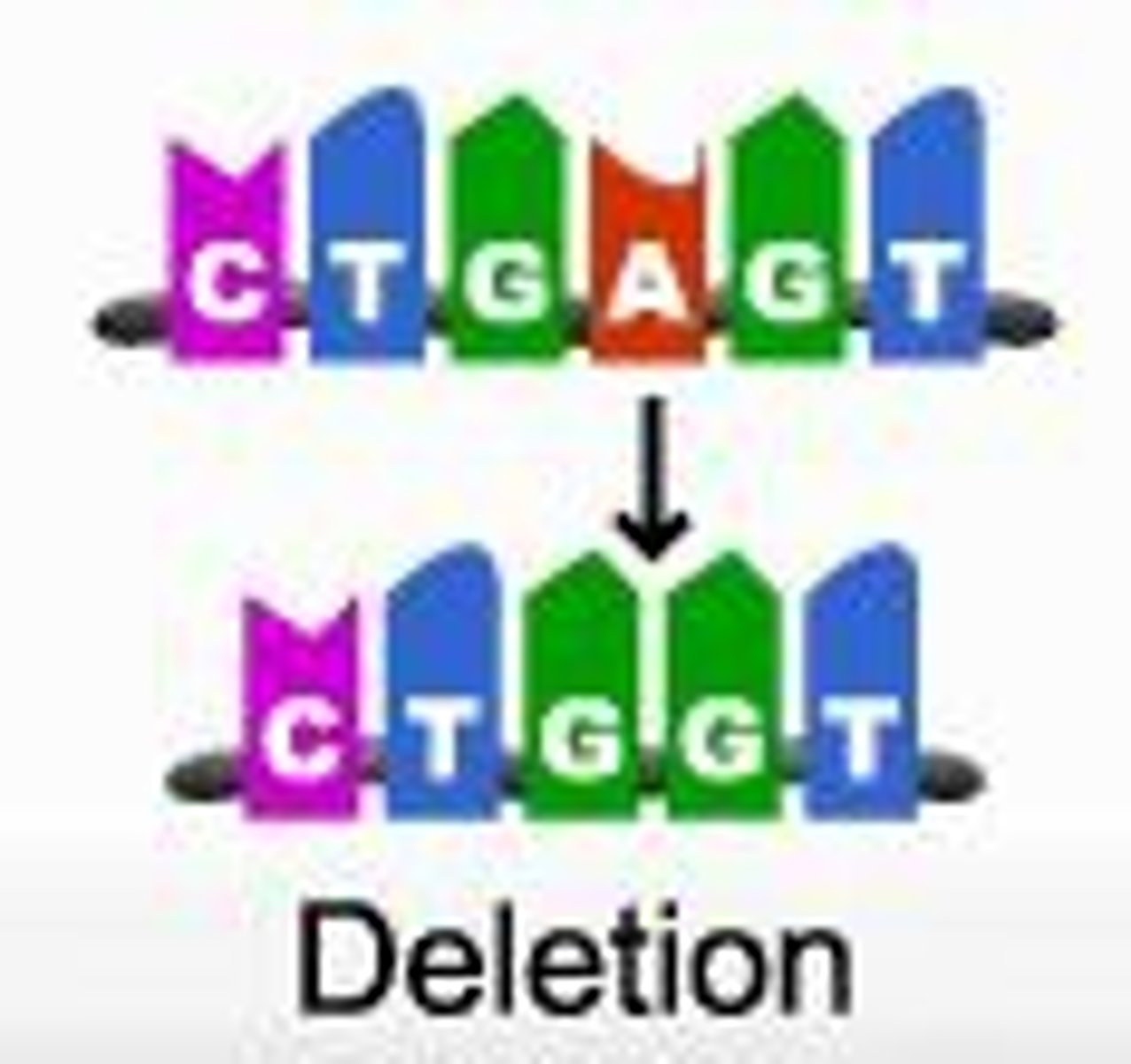 <p>Part of a gene sequence is missing-causes a frameshift mutation</p>