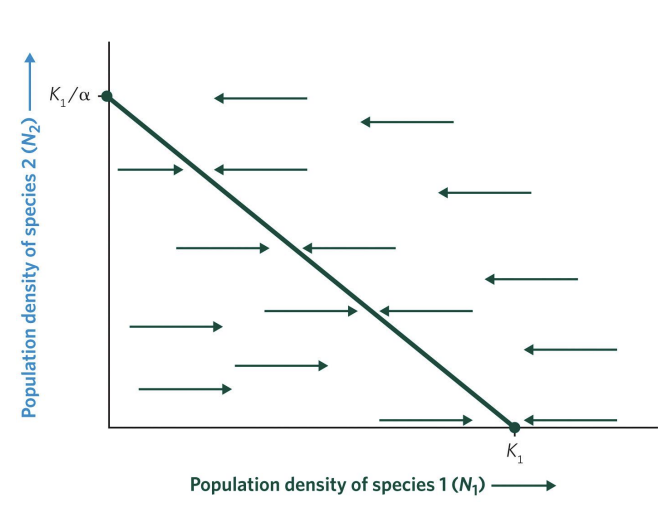 <p>Population trajectories (represented by arrows) above and below the zero-growth isocline for species 1 show the expected direction of change in population density of species 1 in different portions of the phase plane.</p>