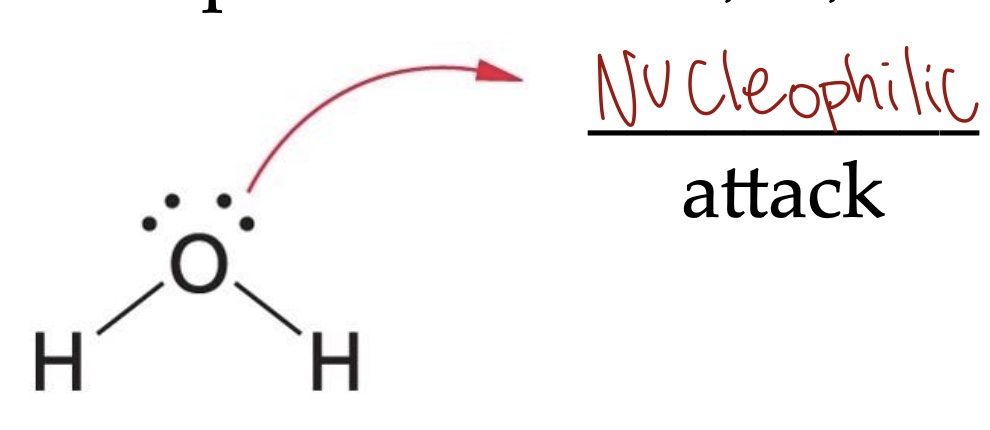<p>Nucleophiles are electron-rich (<span><span>either negatively charged or have unshared pairs of electrons)</span></span></p><p><span><span>Electrophiles are positively charged molecules</span></span></p>