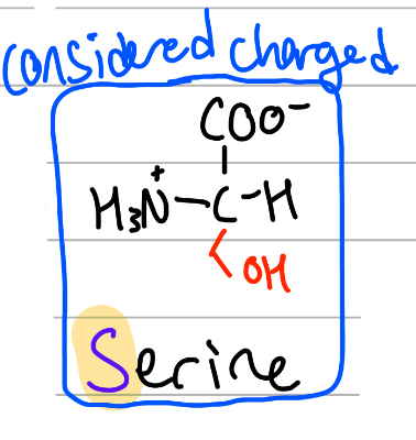 <p>-CH2OH;</p><p>S = only S;</p><p>polar, uncharged, Hphilic</p>