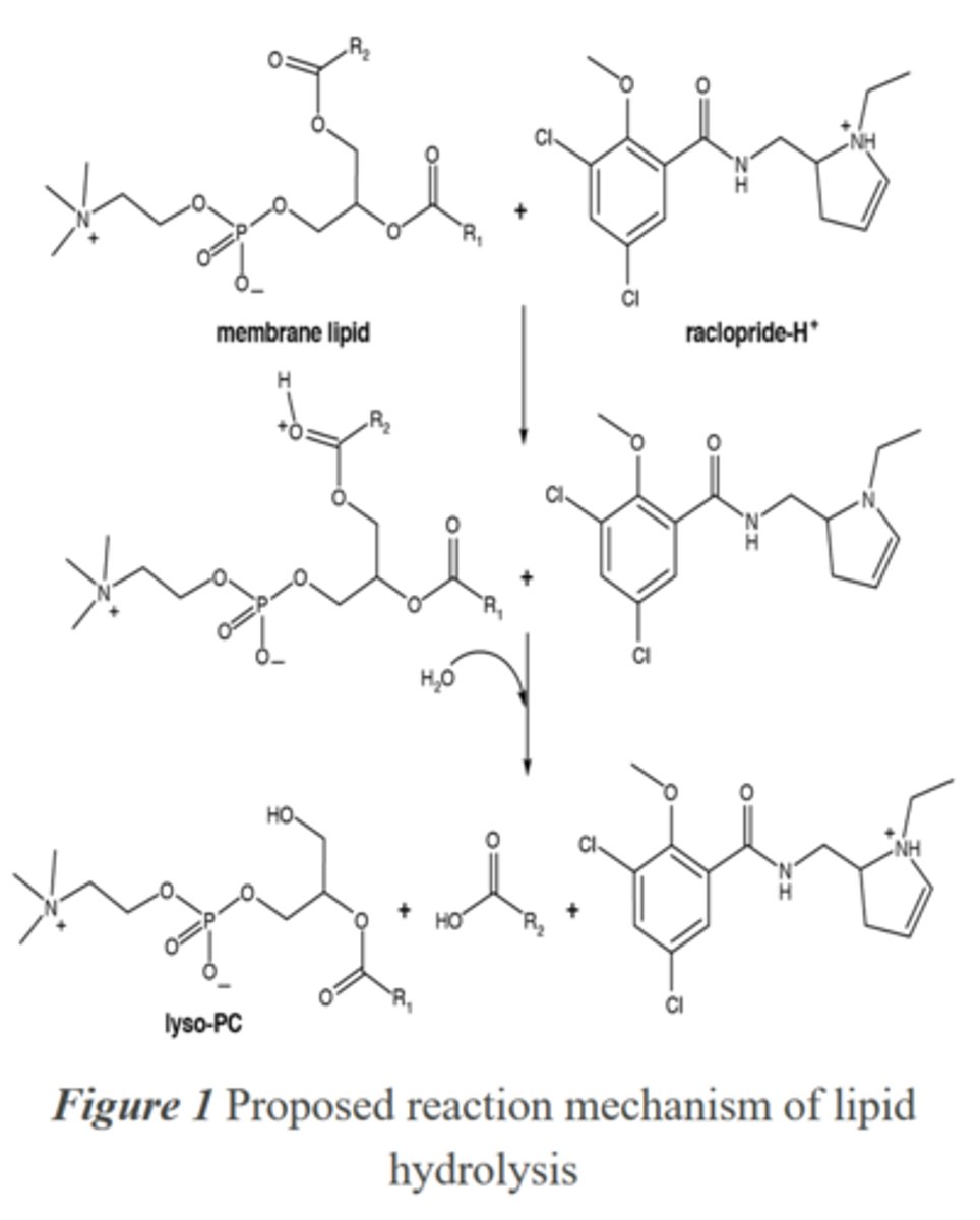 <p>In the second step of the reaction shown in Figure 1, the role of water can best be described as a(n):</p><p>A. ligand.</p><p>B. nucleophile.</p><p>C. electrophile.</p><p>D. leaving group.</p>