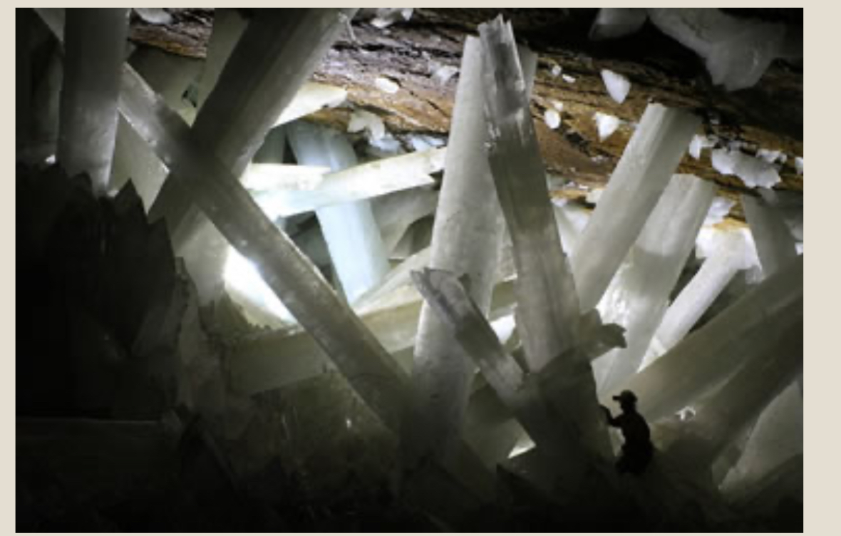 <p>Stout, column-like individuals</p>