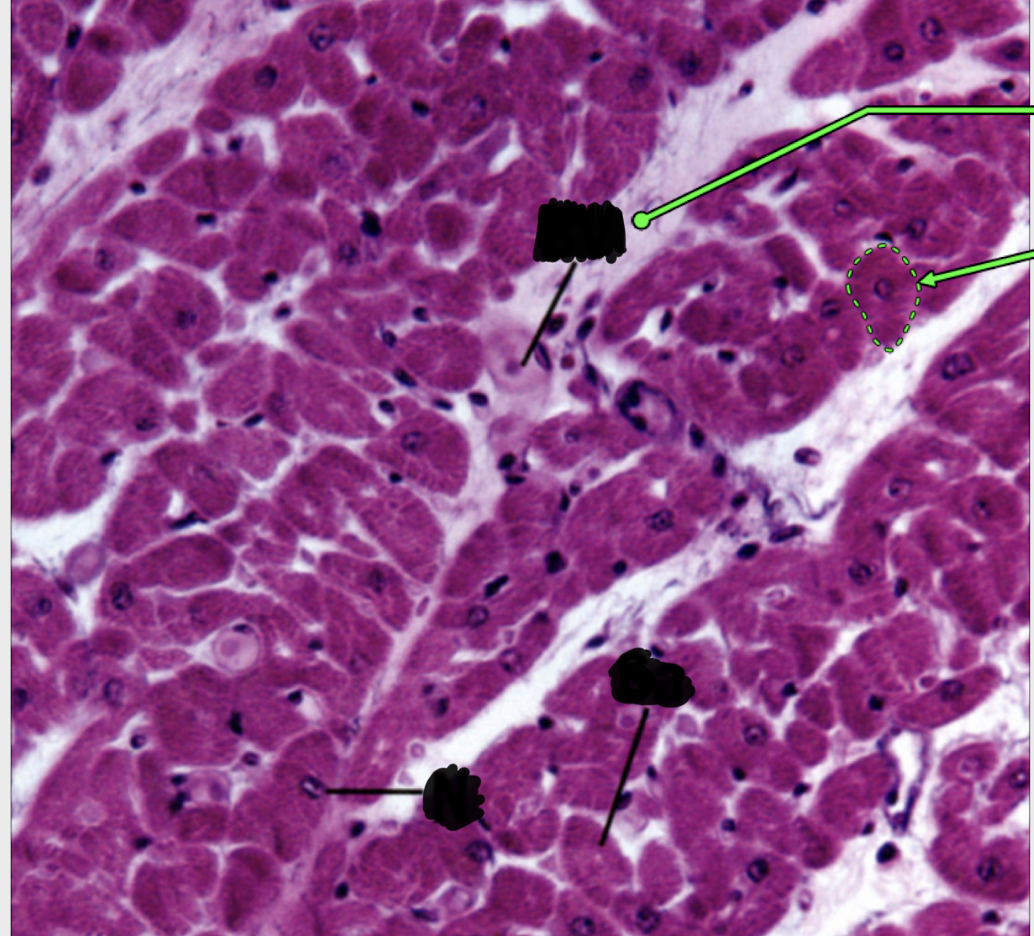 <p>what are you looking at?</p>