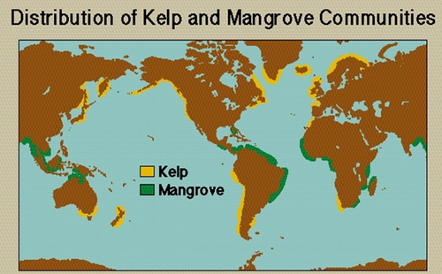 <p>along tropical shores with limited wave action, a subtle slope (for sediment build up), high rate of sedimentation, and soil that's waterlogged, anoxic (no oxygen), and a high salt content.</p>