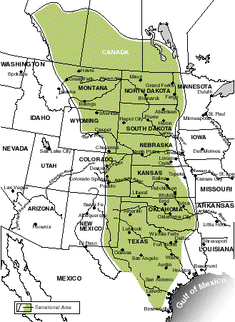 <p>societies of the Great Plains</p>