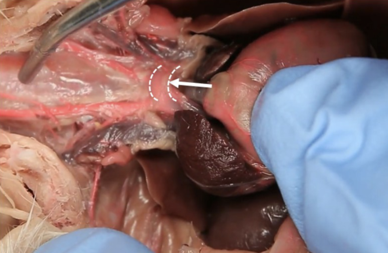 <p>What is this?</p>