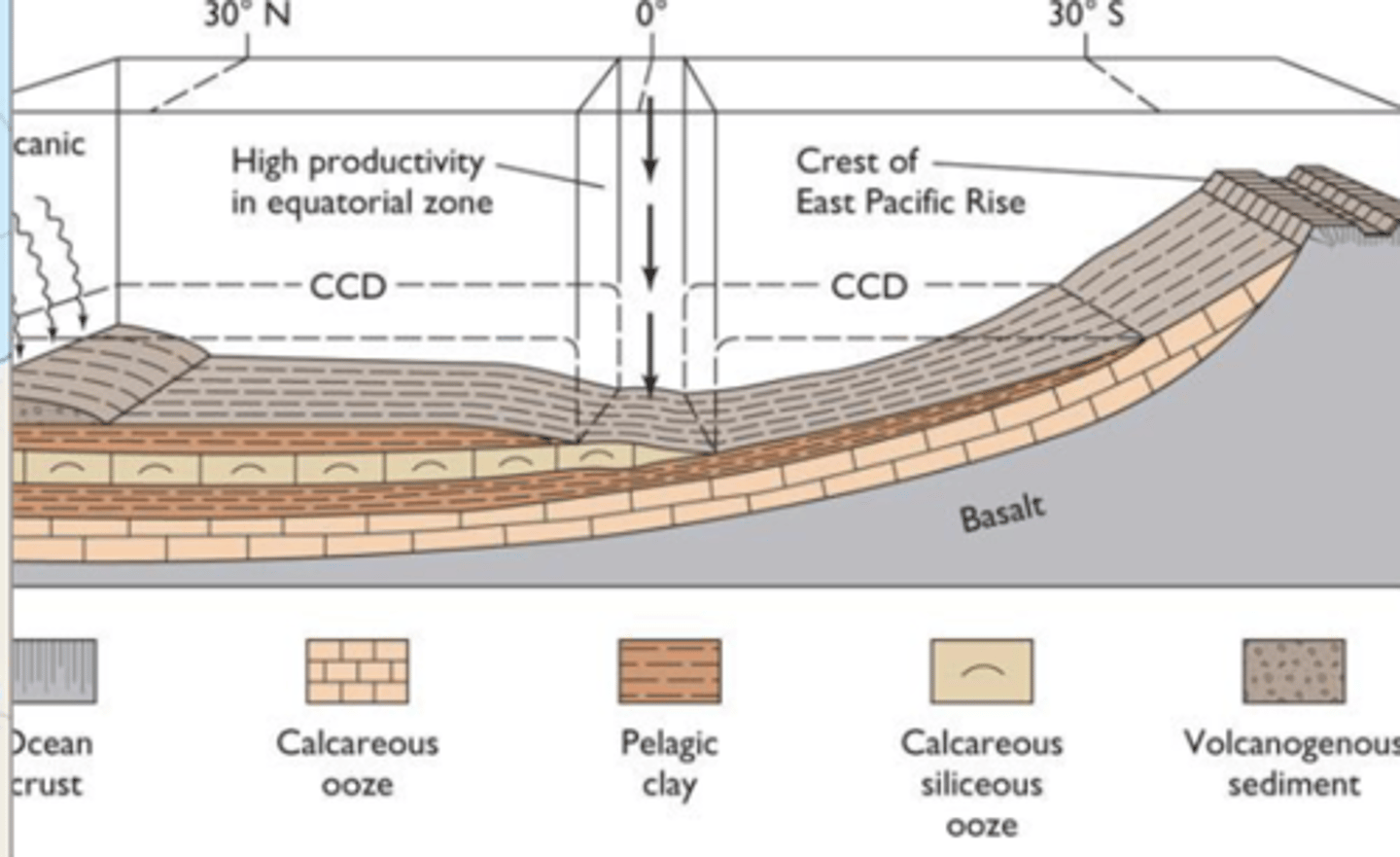 <p>High productivity neutralizes water as shells dissolve, preventing further dissolution and lowering the CCD along the equator</p>
