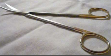 <p>Both blade tips are blunt Can be curved or straight</p>