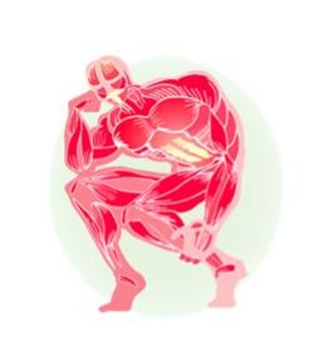 <p>controls muscles and movements</p>