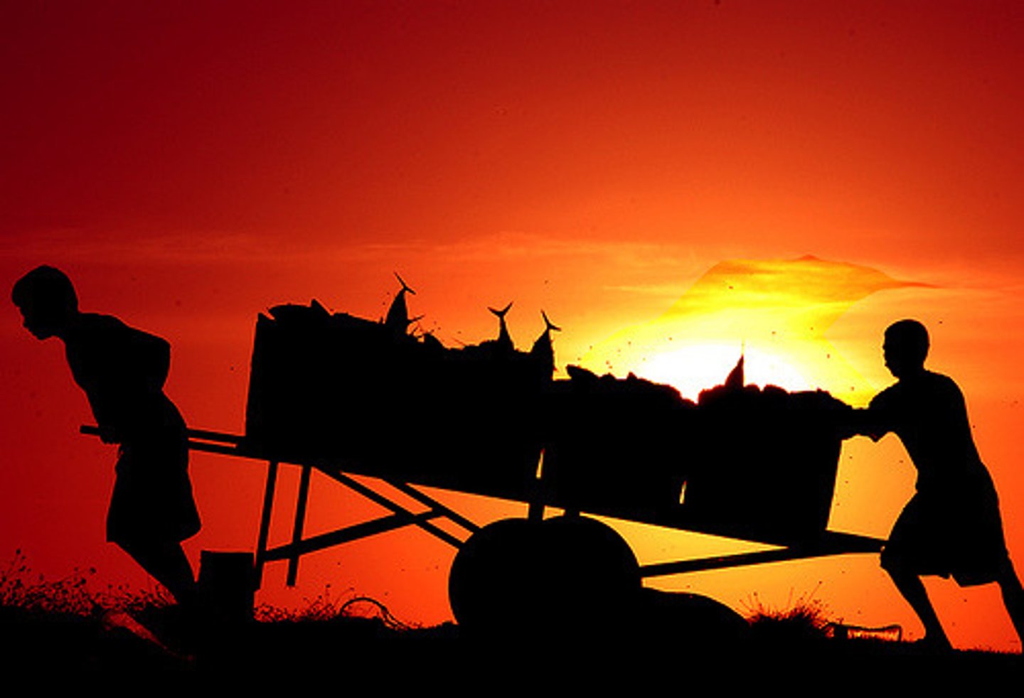 <p>chăm chỉ, khắc nghiệt</p>