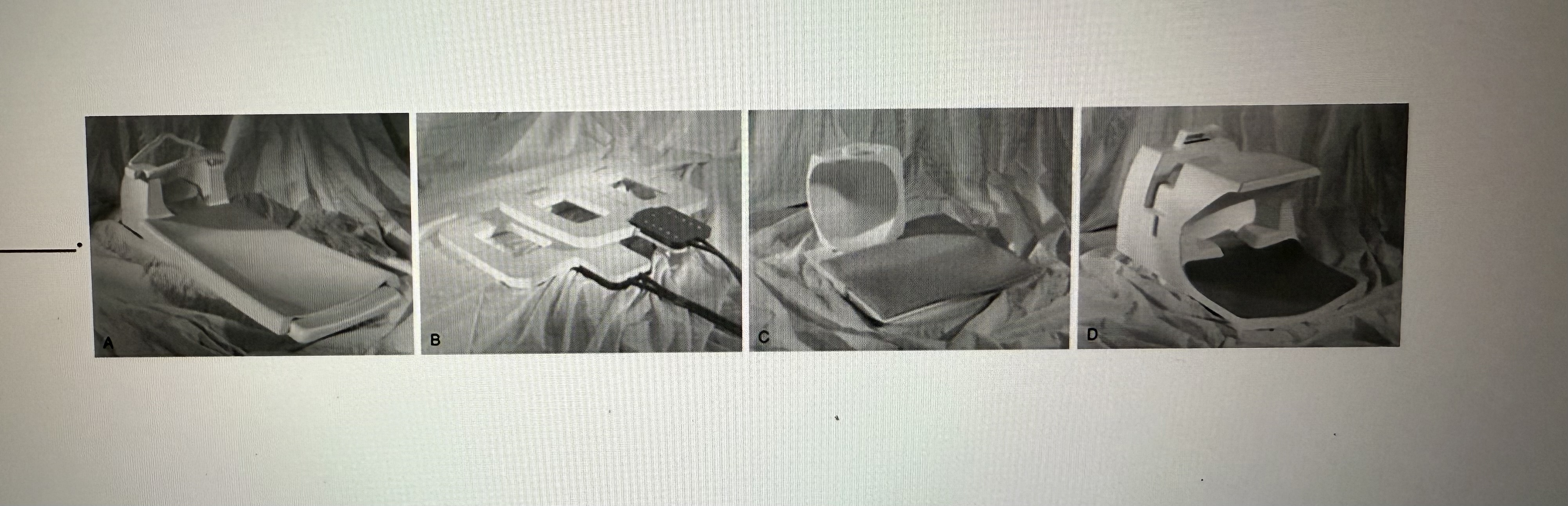 <p>The objects pictured here are _______</p>