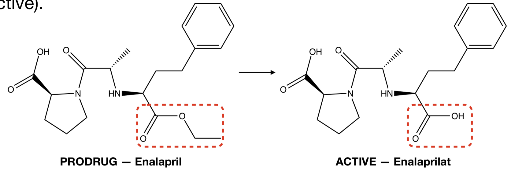 <p><strong>PRODRUG (ENALAPRIL)</strong> TO <strong>ACTIVE (ENALAPRILAT)</strong></p>