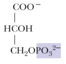 <p>Name that structure.</p>