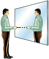 A flat mirror that allows an image to be seen