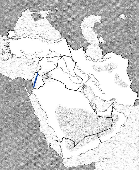 <p>Physical</p>
