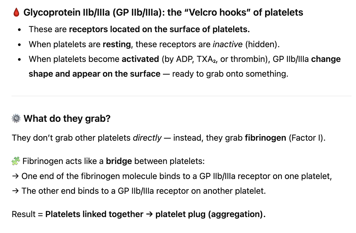 <p><span style="color: red;"><strong>Glycoprotein IIb/IIIa is the binding sites on platele</strong></span>ts, so when they’re exposed, there <span style="color: red;"><strong>drugs bind instead inhibiting from the coagulation</strong></span> cascade from taking place</p><p>If we decrease the receptor binding of fibrinogen, we decrease the platelet adhesion</p>