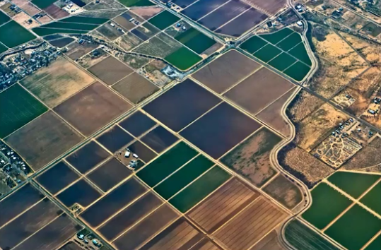 <p><span><span>a method of land surveying used in the United States to divide land into a grid of uniform square parcels, primarily in the Midwest and West</span></span></p>