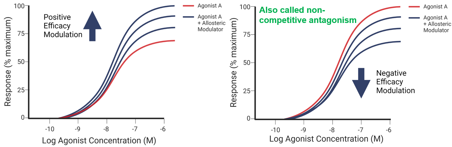 <p>They alter how well the agonist activates the receptor</p><ul><li><p>The full response of the agonist is raised or suppressed</p></li><li><p>It shifts the concentration response curve up or down</p></li></ul><p></p>