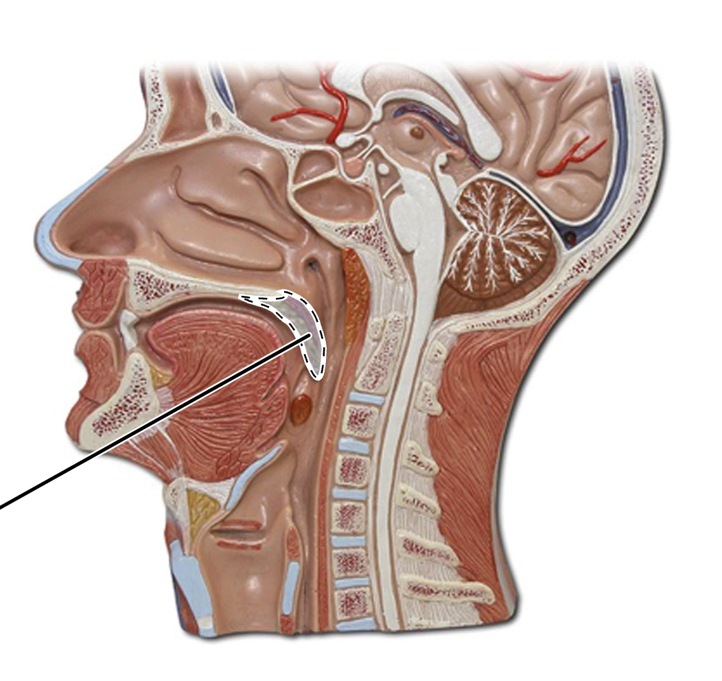 <p>What is this?</p>