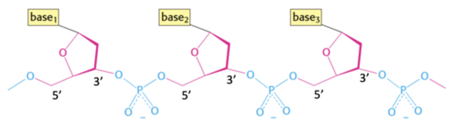 <p>What kind of bond is shown in this polymer?</p>