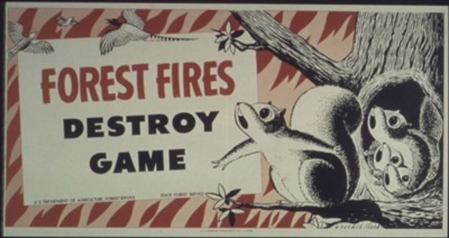 <p>Resource/Something that can cause population growth to decrease; controls the growth of a population.</p>