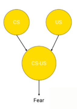 <p>Process to how brain forms association (3 steps)</p>